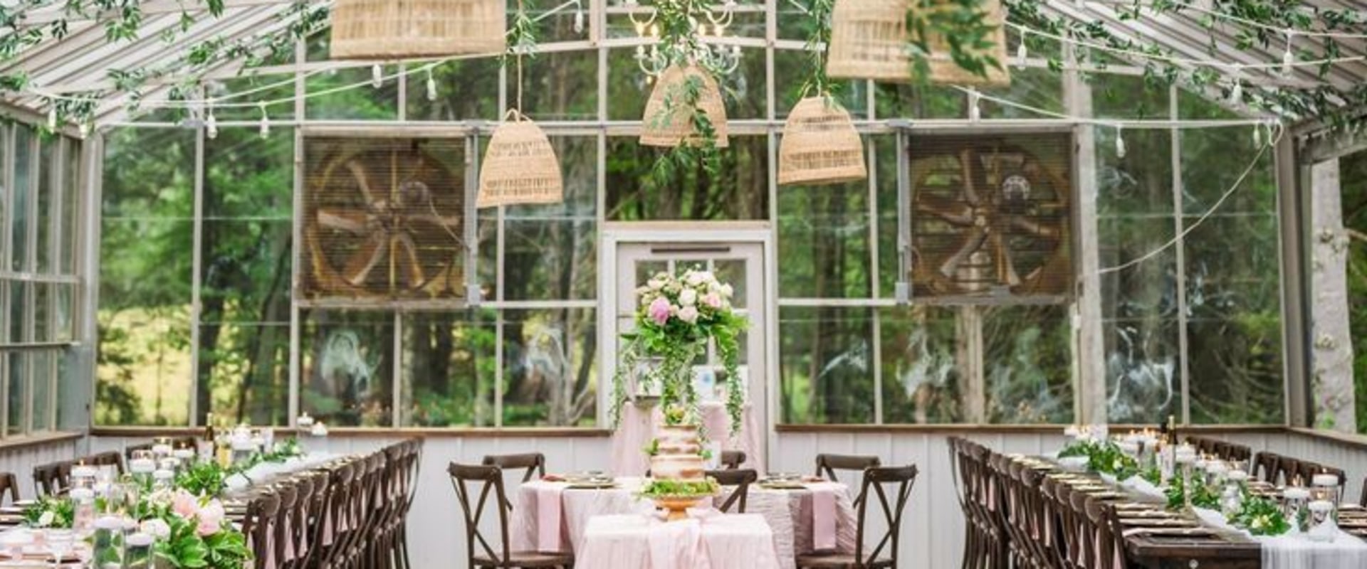 Indoor Plant Care Solutions for Wedding Venue Settings