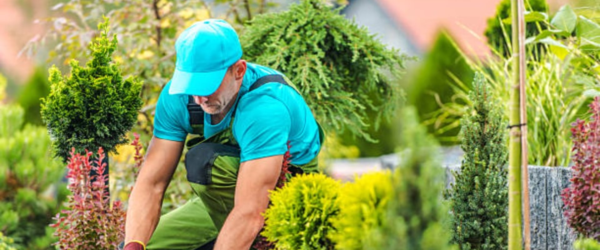 Harmonizing Indoor Plant Care with Outdoor Landscaping