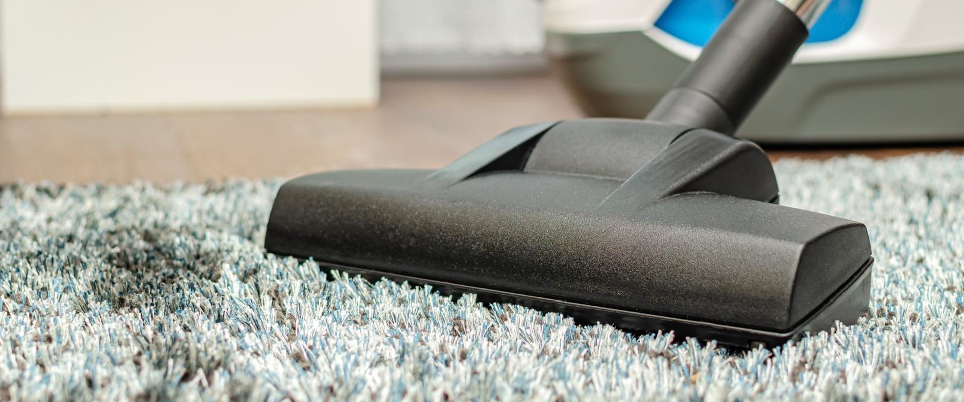 Indoor Plant Care at Home: Why Rug Carpet Cleaning in Eugene, OR Matters More Than You Think
