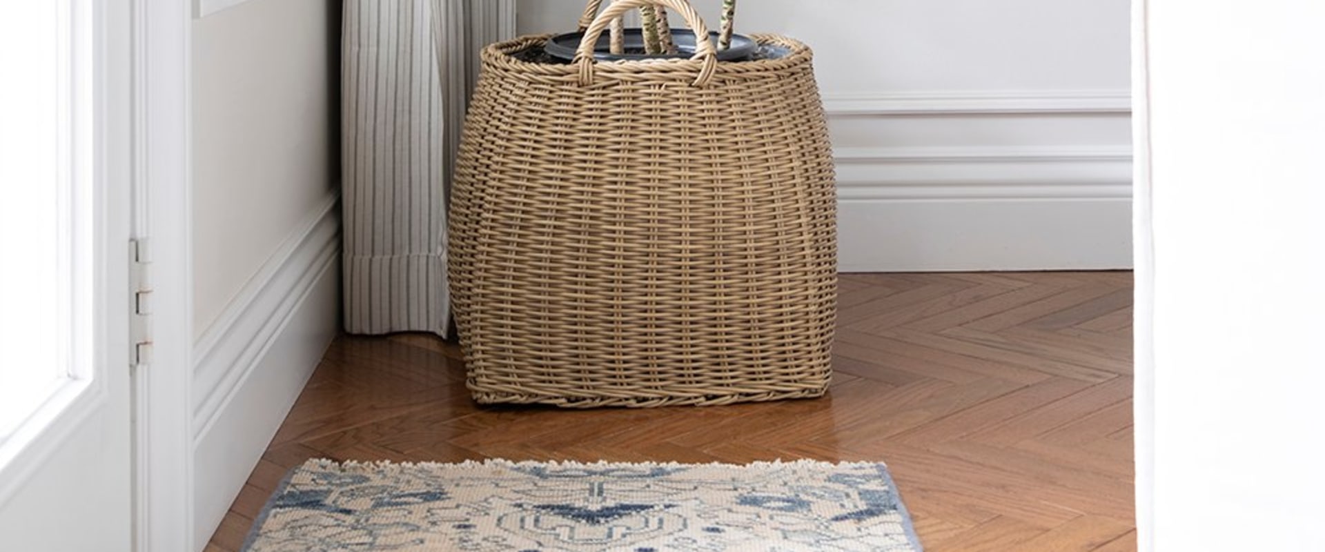 Top Low Light Indoor Plants That Are Easy to Care For