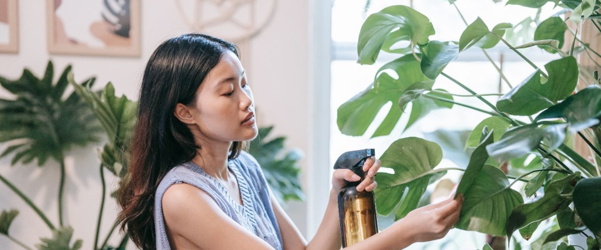 Effective Natural Remedies for Pest Control in Indoor Plant Care