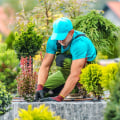 Harmonizing Indoor Plant Care with Outdoor Landscaping
