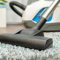 Indoor Plant Care at Home: Why Rug Carpet Cleaning in Eugene, OR Matters More Than You Think