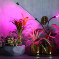 Essential Guide to Artificial Lighting for Indoor Plant Care