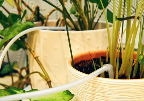 The Hidden Challenges of Overwatering Indoor Plants in Homes With Efficient Plumbing Systems