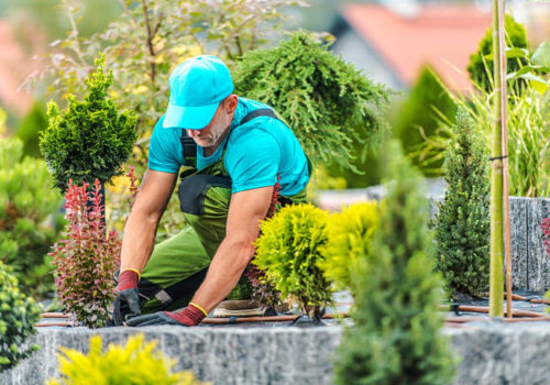 Harmonizing Indoor Plant Care with Outdoor Landscaping