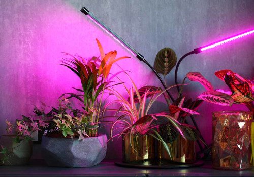 Essential Guide to Artificial Lighting for Indoor Plant Care