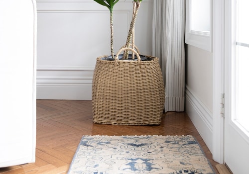 Top Low Light Indoor Plants That Are Easy to Care For